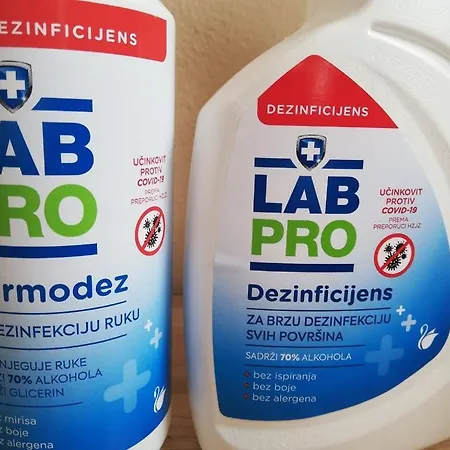 Silvija Daire Ližnjan