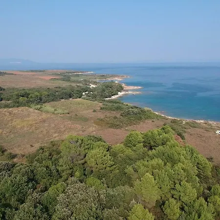 Silvija * Ližnjan
