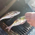 Lejlighed Silvija